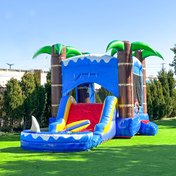 Ocean xtra wide slide/ house combo wet/dry