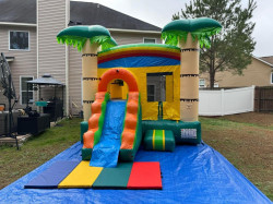 IMG 4599 1729263136 Tropical Bounce house/slide combo wet/dry